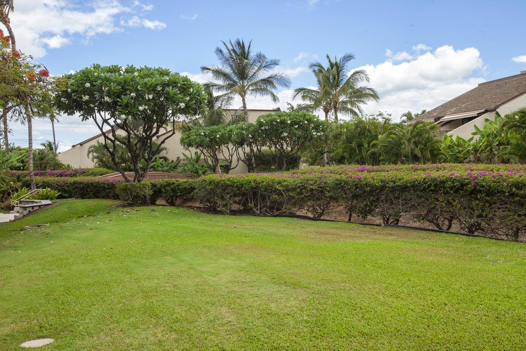 מלון ויילי Maui Kamaole מראה חיצוני תמונה